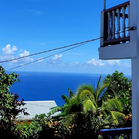 "Sunrise Inn" Nature Island Dominica Penville Exterior photo