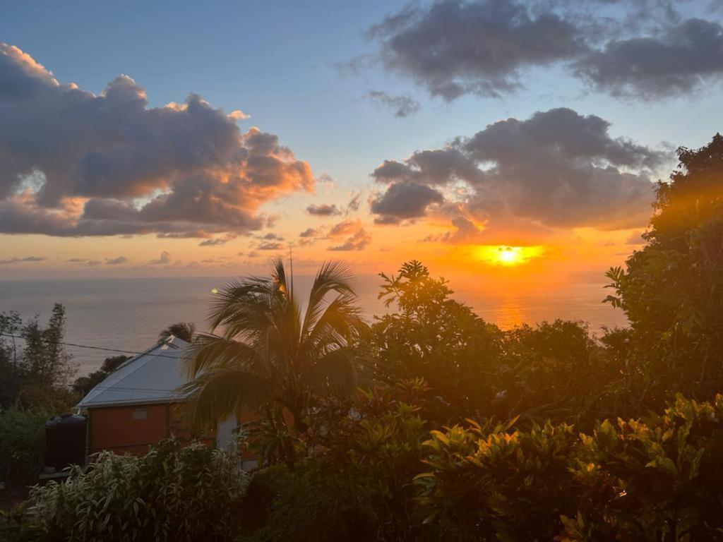"Sunrise Inn" Nature Island Dominica Penville Exterior photo