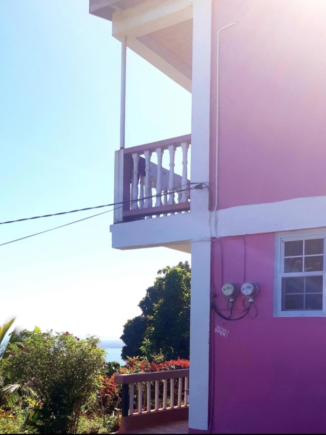 "Sunrise Inn" Nature Island Dominica Penville Exterior photo